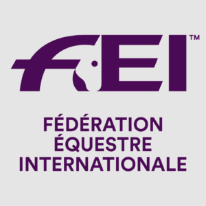 FEI logo