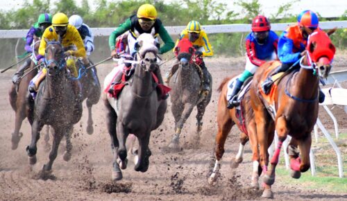 17379061-6735-4841-b8a8-37be155dc51a